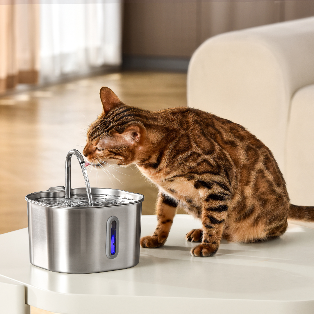 Purrify - Stainless Steel Water Filter
