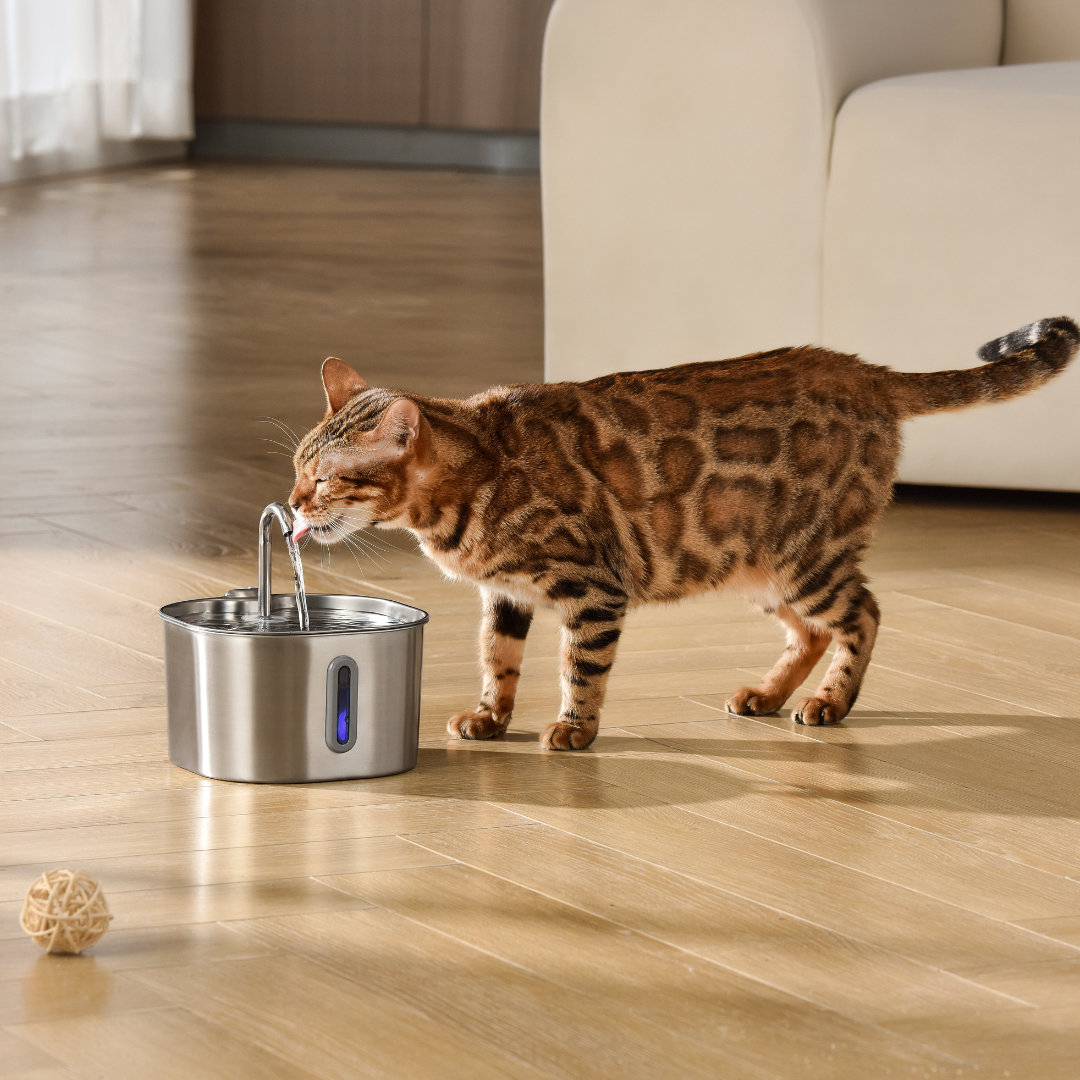 Purrify - Stainless Steel Water Filter