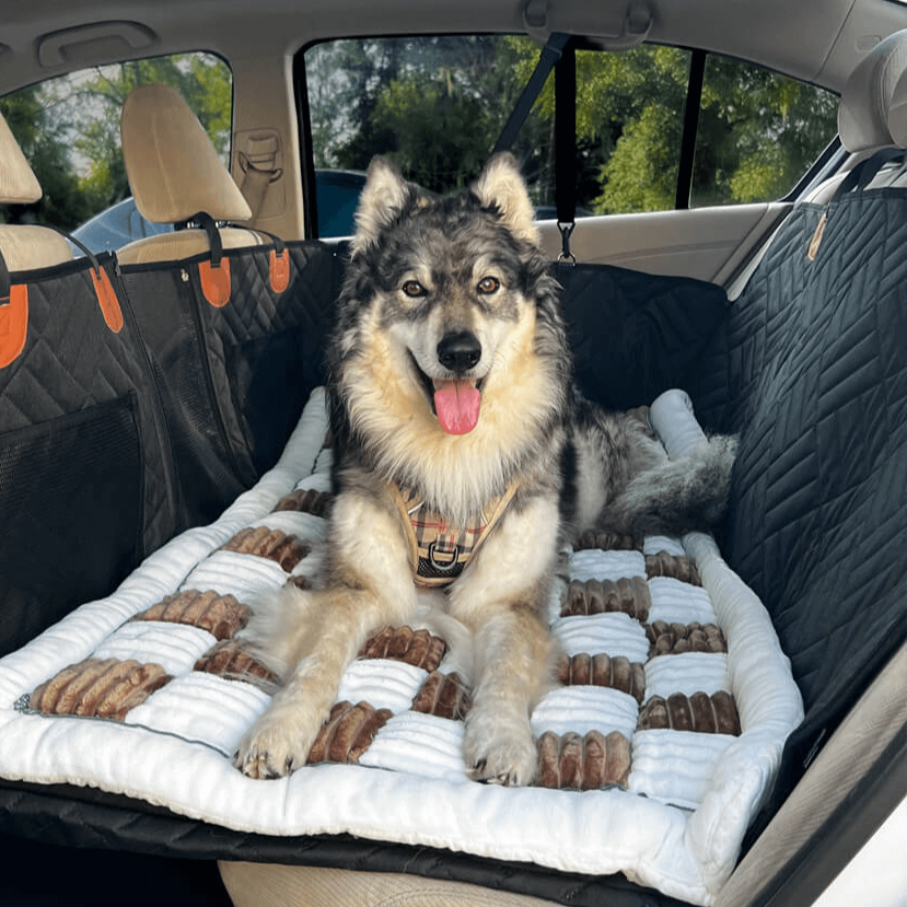 BarkBunker™ - Heavy-Duty Defense Against Dirt, Hair & Claws.