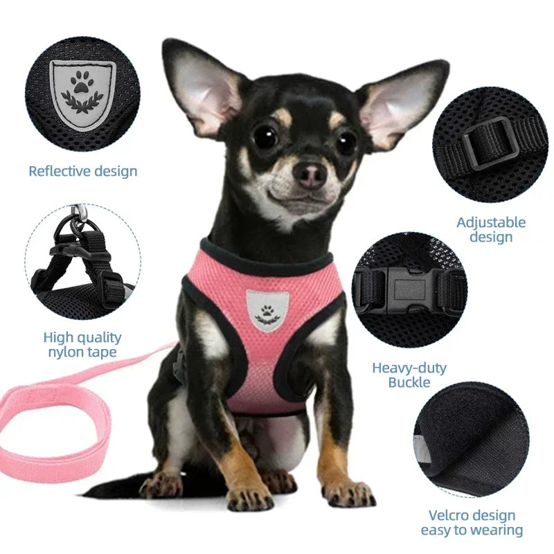 BreatheEase™ Mesh Pet Harness & Leash Set – Adjustable Walking Vest for Cats & Small Dogs