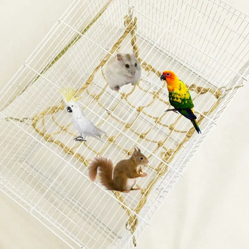CloudClimb™ Rope Swing & Climbing Net – Hanging Play Gym for Birds & Small Pets