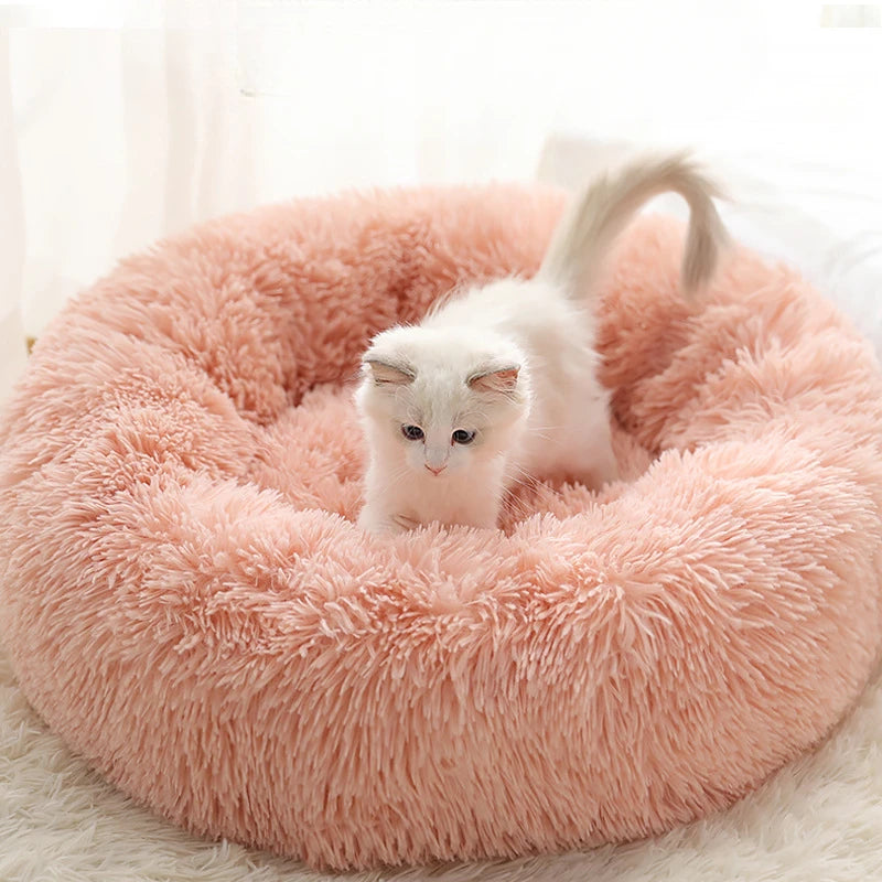 CozyCurl™ Winter Pet Nest – Plush, Washable Bed for Cats & Small Dogs