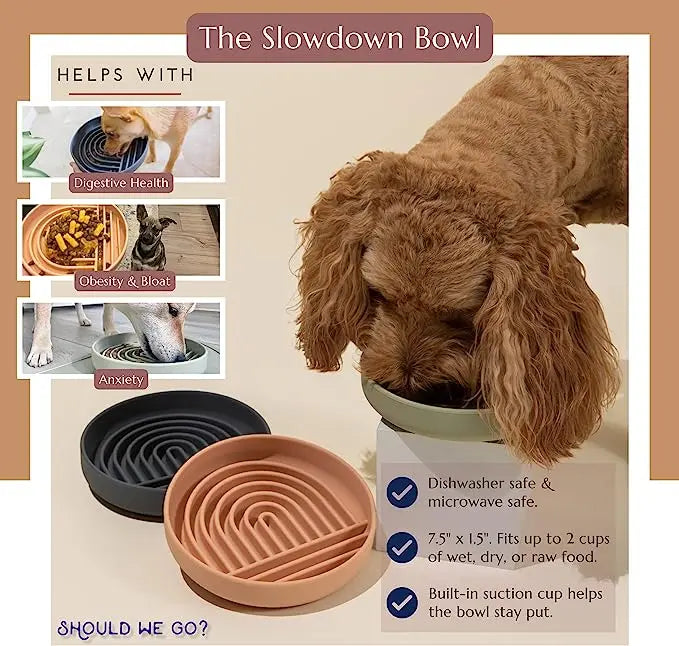MunchMate™ Slow Feeder Bowl