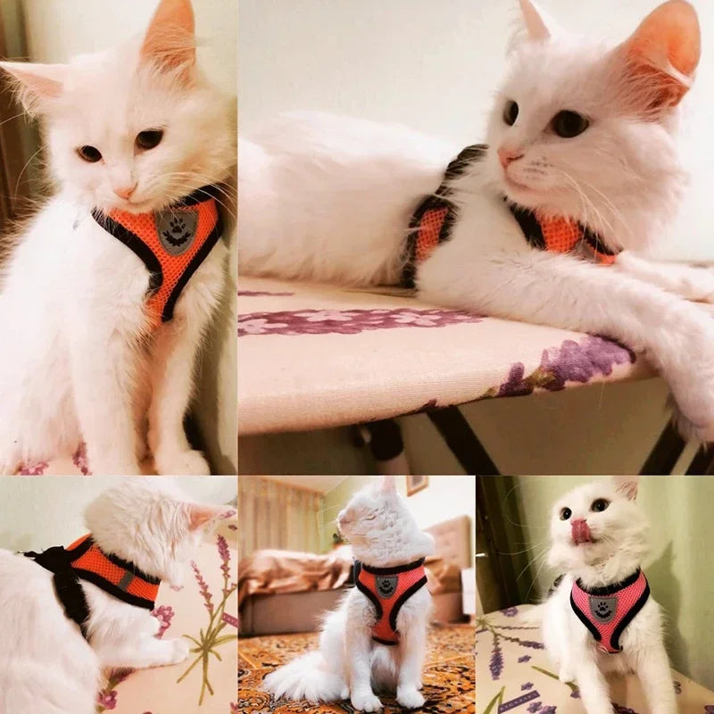BreatheEase™ Mesh Pet Harness & Leash Set – Adjustable Walking Vest for Cats & Small Dogs