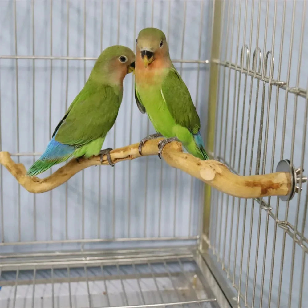 Natural Wooden Perch – Climbing & Paw-Grinding Stand for Birds