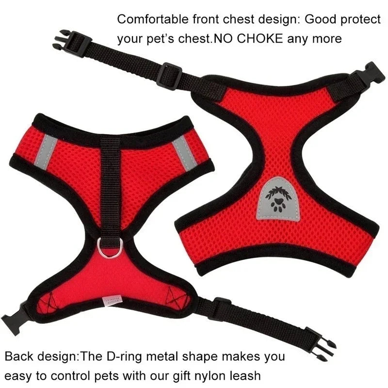 BreatheEase™ Mesh Pet Harness & Leash Set – Adjustable Walking Vest for Cats & Small Dogs