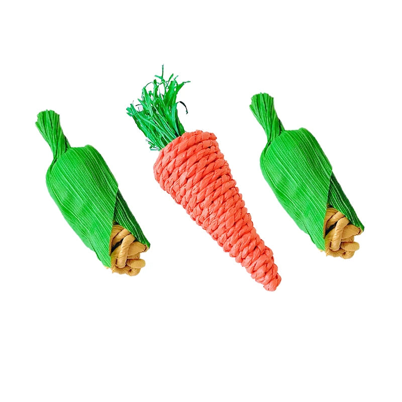 Carrot & Corn Vine Chew Toy – Hanging Enrichment for Birds & Small Pets