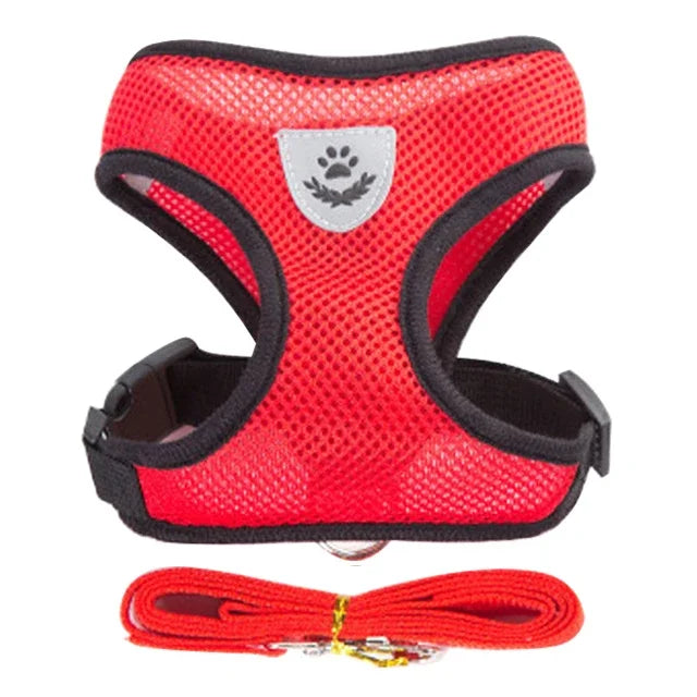 BreatheEase™ Mesh Pet Harness & Leash Set – Adjustable Walking Vest for Cats & Small Dogs