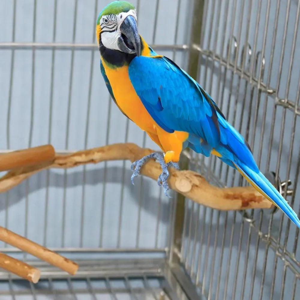 Natural Wooden Perch – Climbing & Paw-Grinding Stand for Birds