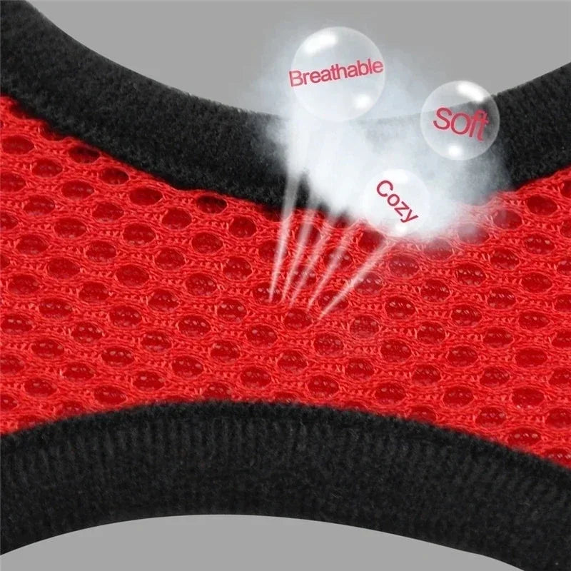 BreatheEase™ Mesh Pet Harness & Leash Set – Adjustable Walking Vest for Cats & Small Dogs