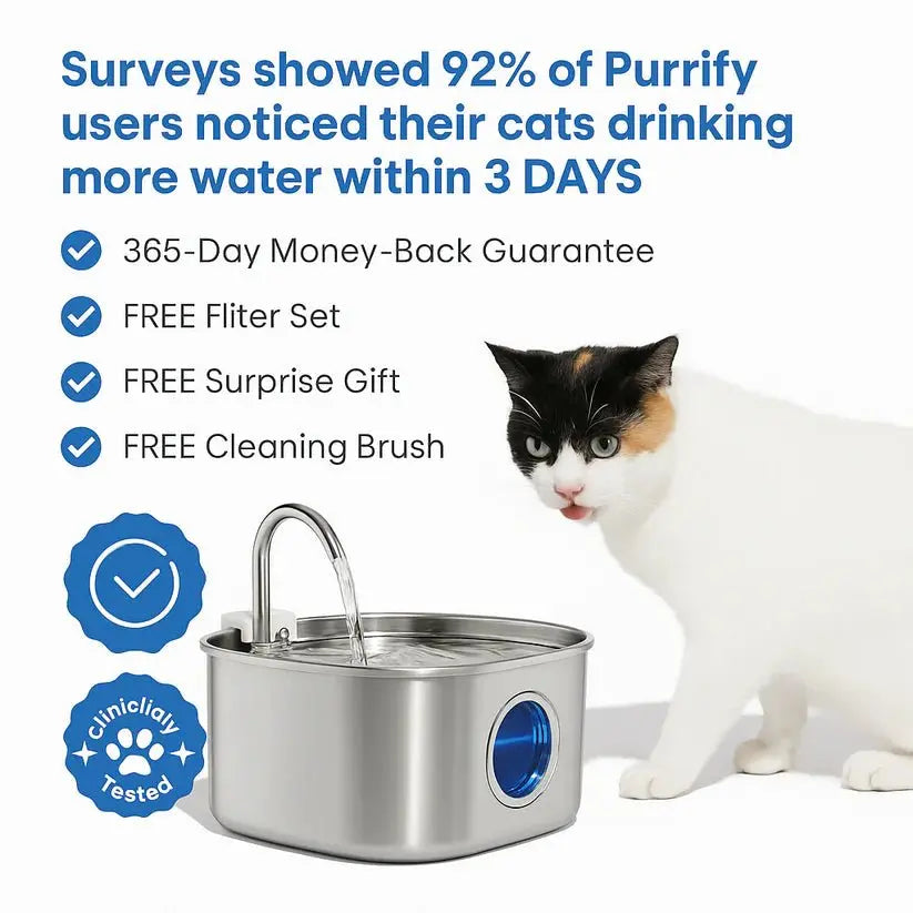 Purrify - Stainless Steel Water Filter