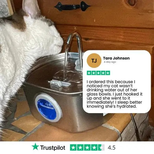 Purrify - Stainless Steel Water Filter