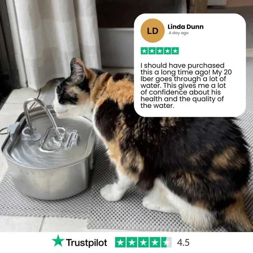 Purrify - Stainless Steel Water Filter
