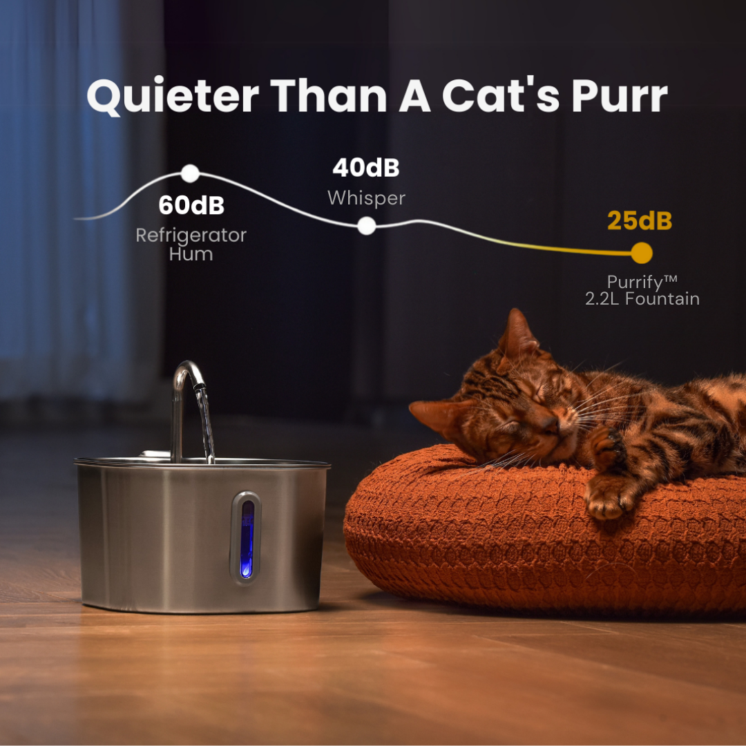 Purrify - Stainless Steel Water Filter