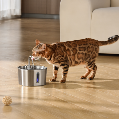 Purrify - Stainless Steel Water Filter