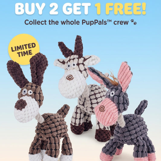 PupPals™ - Plush Chew Toy