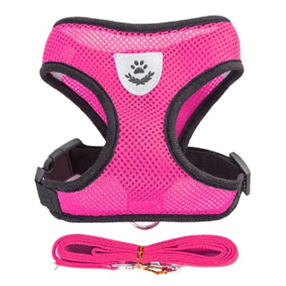 BreatheEase™ Mesh Pet Harness & Leash Set – Adjustable Walking Vest for Cats & Small Dogs