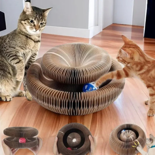 FlexiScratch™ Foldable Cat Scratcher & Bed – Recyclable Cardboard Curl Toy