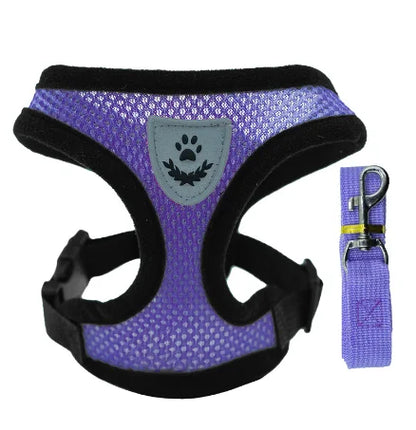 BreatheEase™ Mesh Pet Harness & Leash Set – Adjustable Walking Vest for Cats & Small Dogs