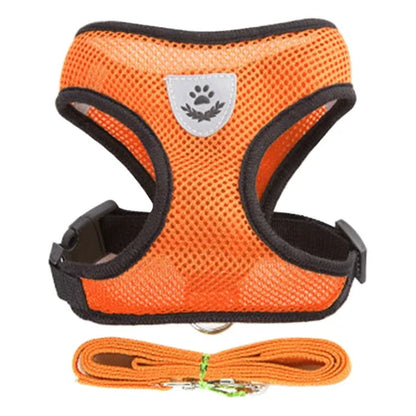 BreatheEase™ Mesh Pet Harness & Leash Set – Adjustable Walking Vest for Cats & Small Dogs