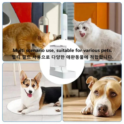 AutoFeast™ Gravity Feeder & Water Dispenser – High-Capacity Set for Cats & Dogs