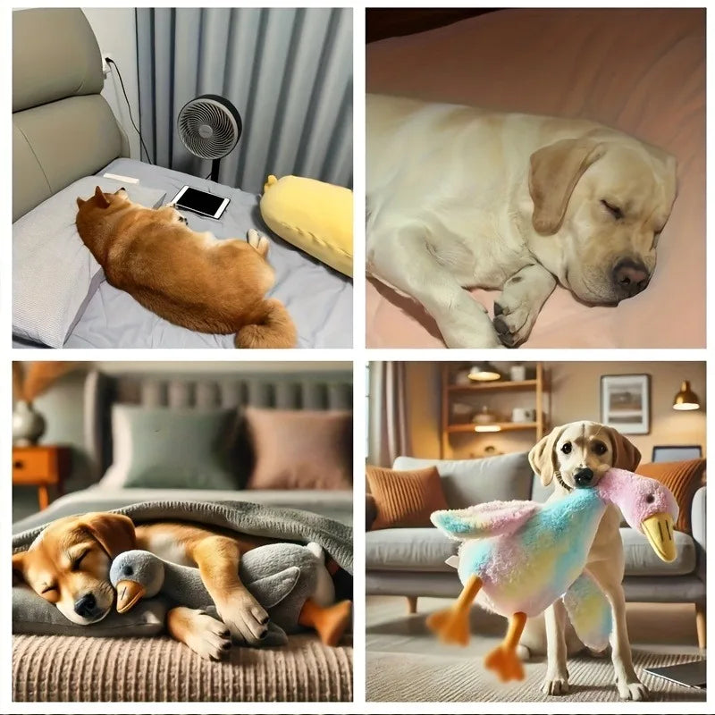 Mr Quacker™ – Plush Companion