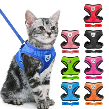 BreatheEase™ Mesh Pet Harness & Leash Set – Adjustable Walking Vest for Cats & Small Dogs