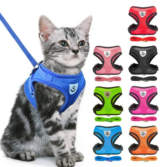 BreatheEase™ Mesh Pet Harness & Leash Set – Adjustable Walking Vest for Cats & Small Dogs