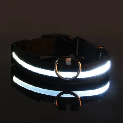 GlowPup™ LED Safety Collar