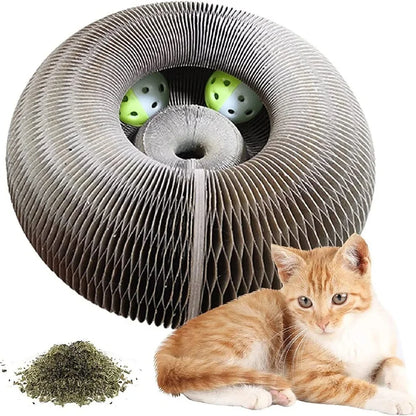 FlexiScratch™ Foldable Cat Scratcher & Bed – Recyclable Cardboard Curl Toy
